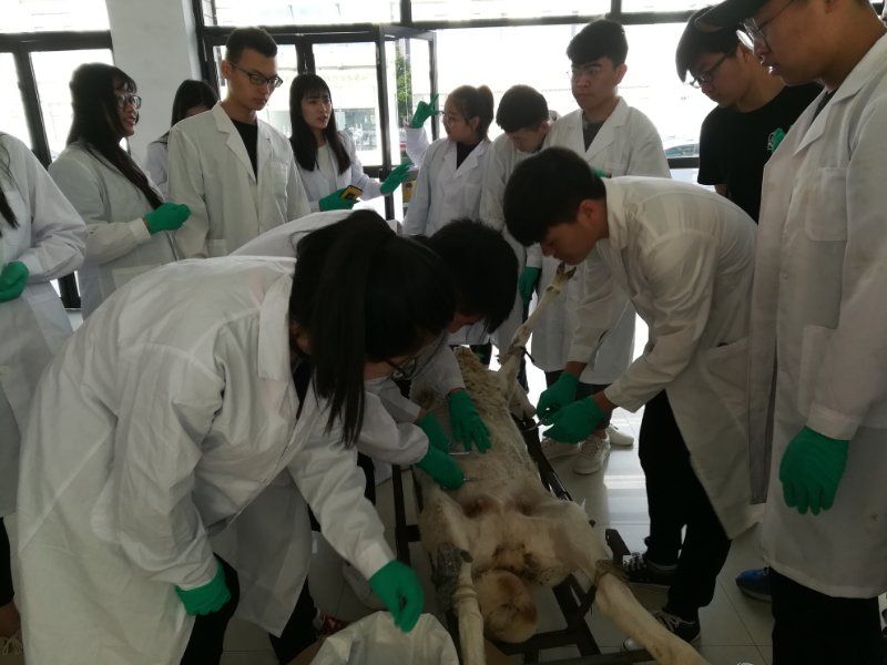 繁殖實習1.jpg